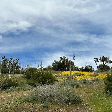 Breathtaking Cabin In Kern River Valleyレイク・イザベラ エクステリア 写真