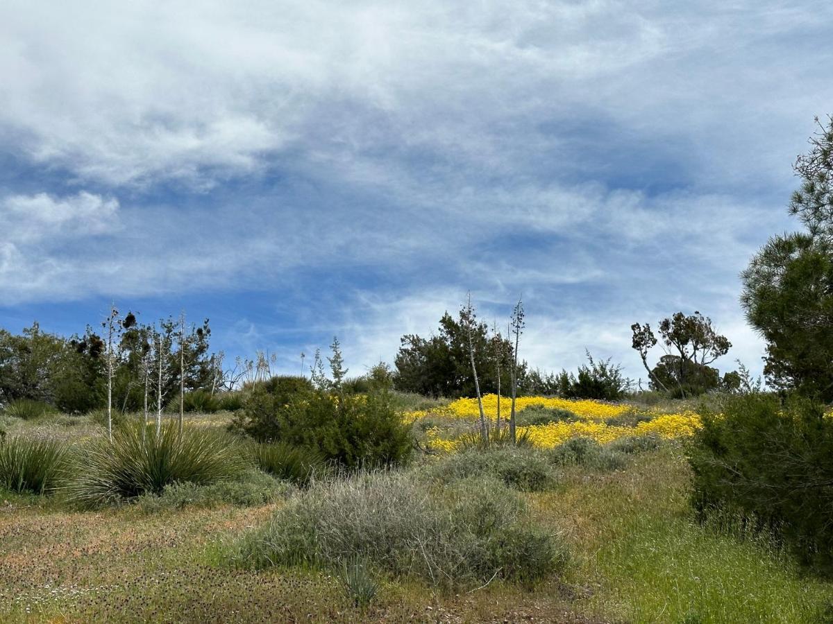 Breathtaking Cabin In Kern River Valleyレイク・イザベラ エクステリア 写真