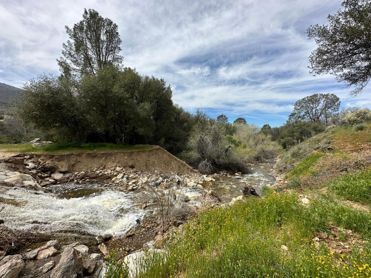 Breathtaking Cabin In Kern River Valleyレイク・イザベラ エクステリア 写真